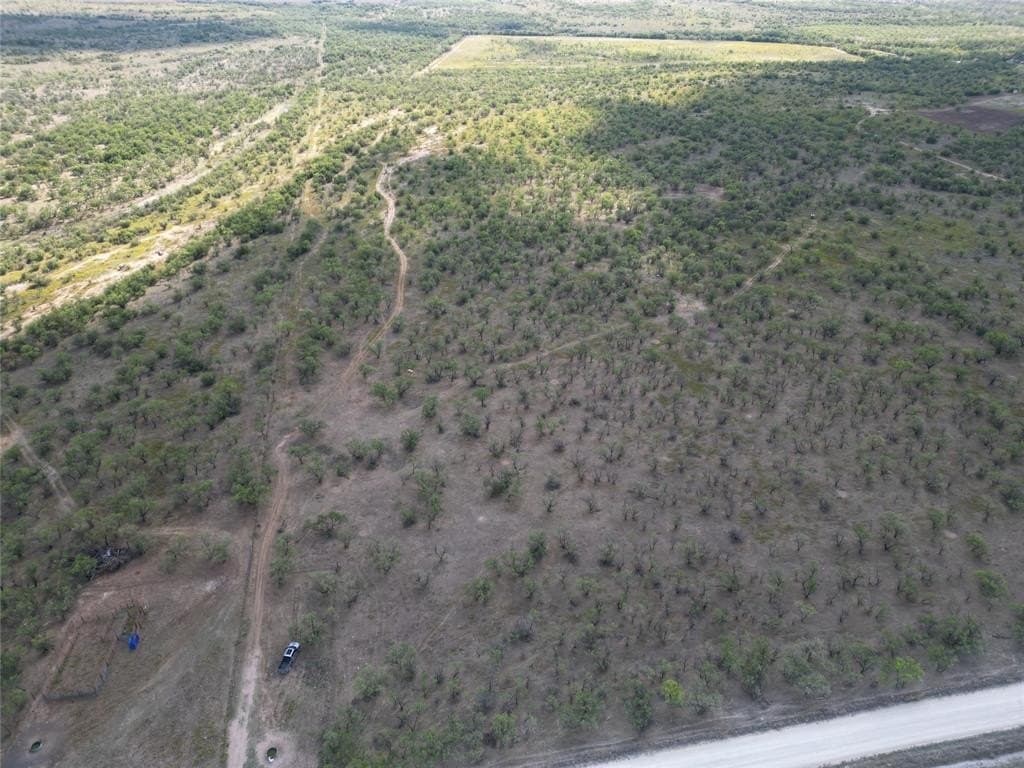 20 acres in Callahan County featured view