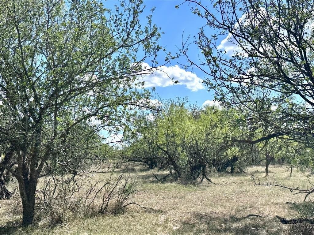 20 acres in Callahan County