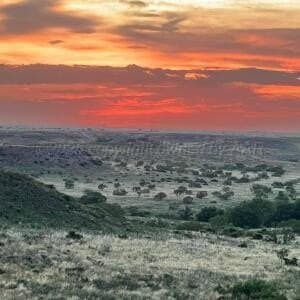 0.29 acres in Potter County