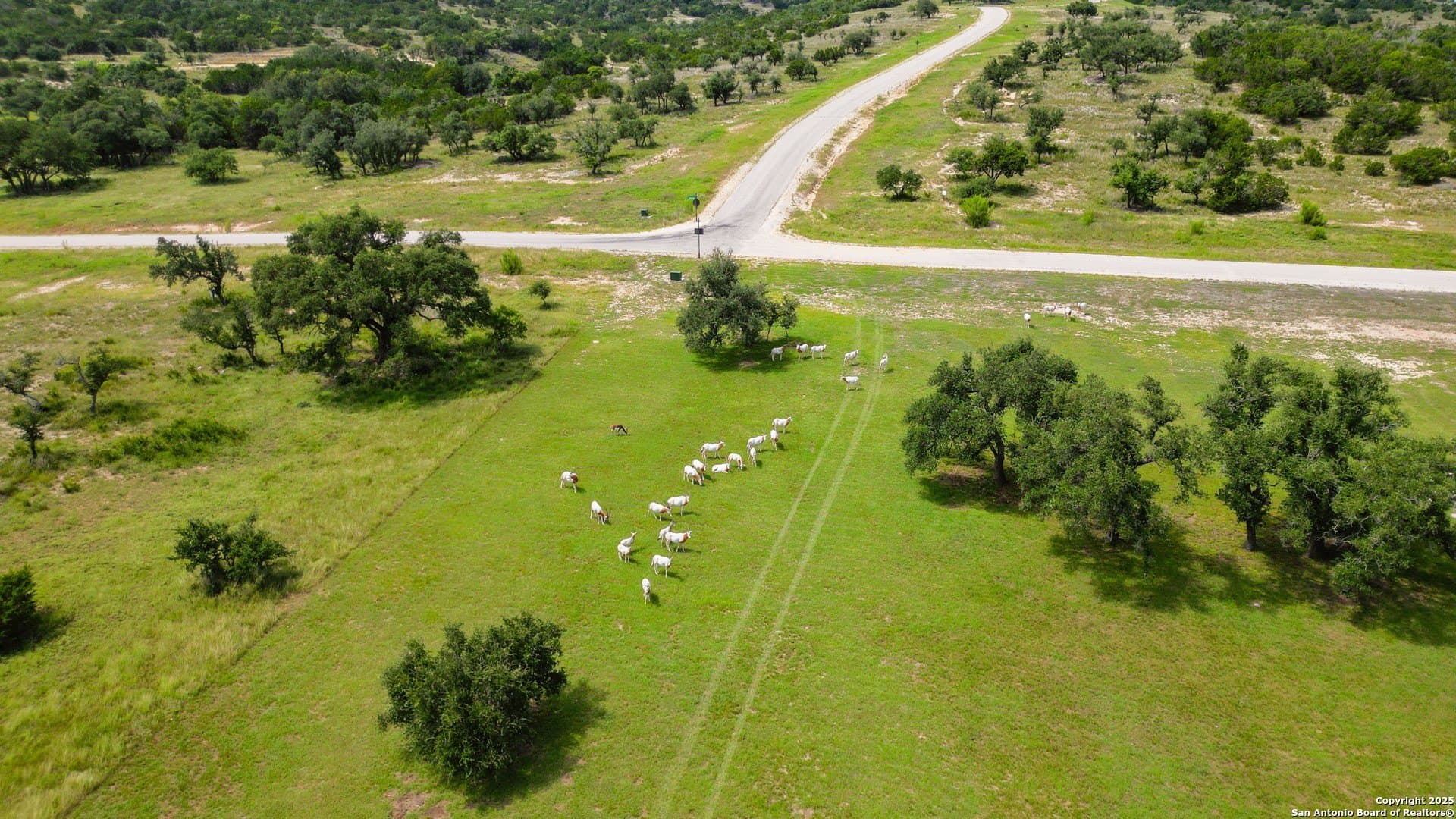5.4 acres in Blanco County - photo 25