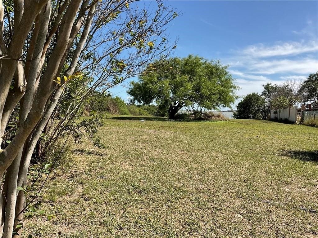 0.34 acres in San Patricio County gallery image 2