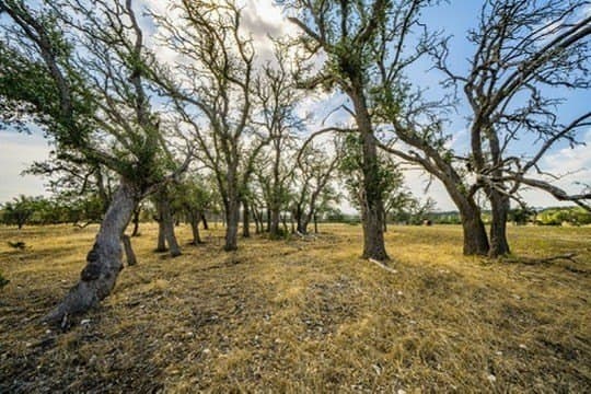 20.09 acres in Gillespie County featured view