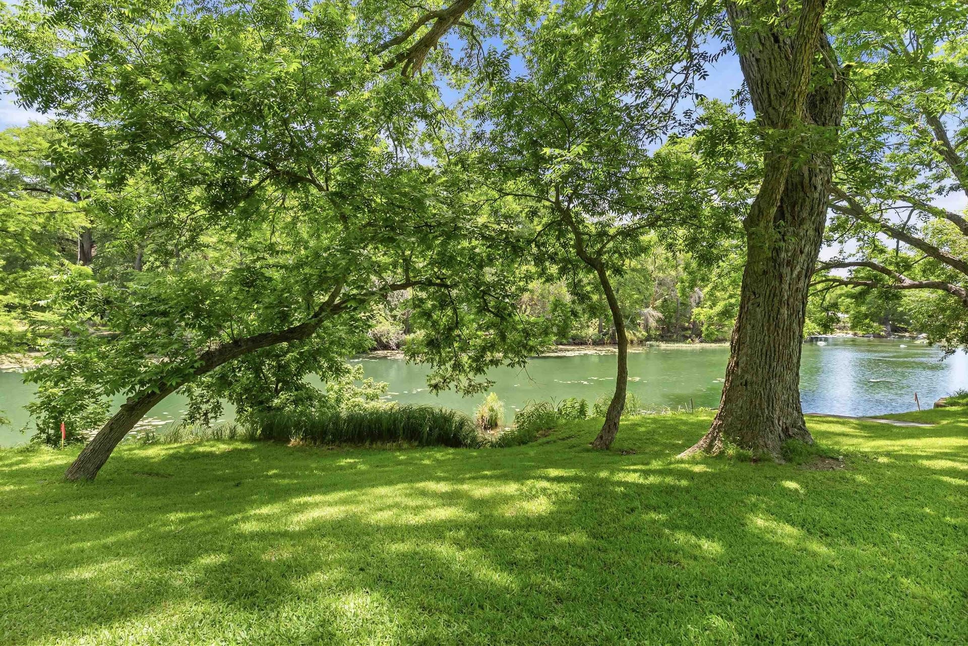 1.04 acres in Comal County gallery image 4