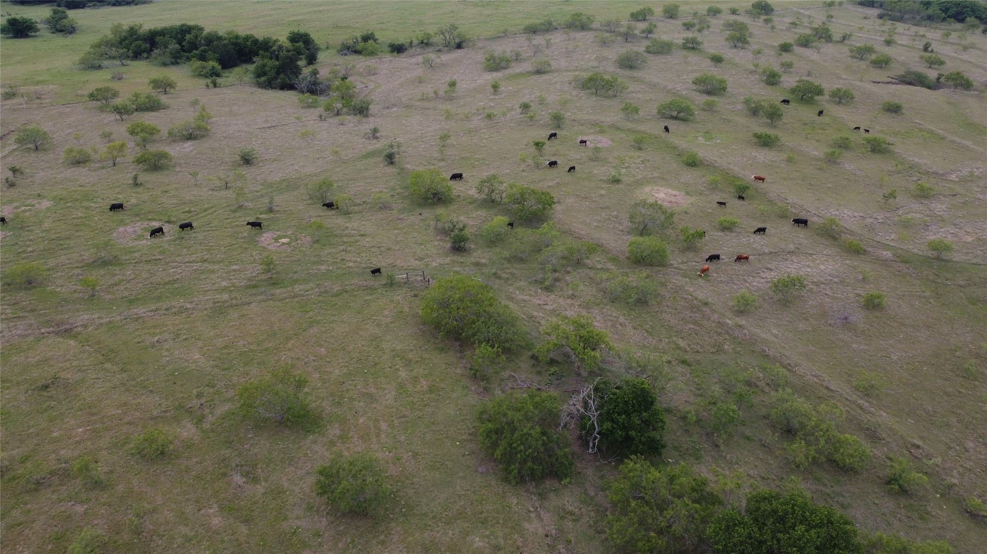 42 acres in Hill County - photo 37