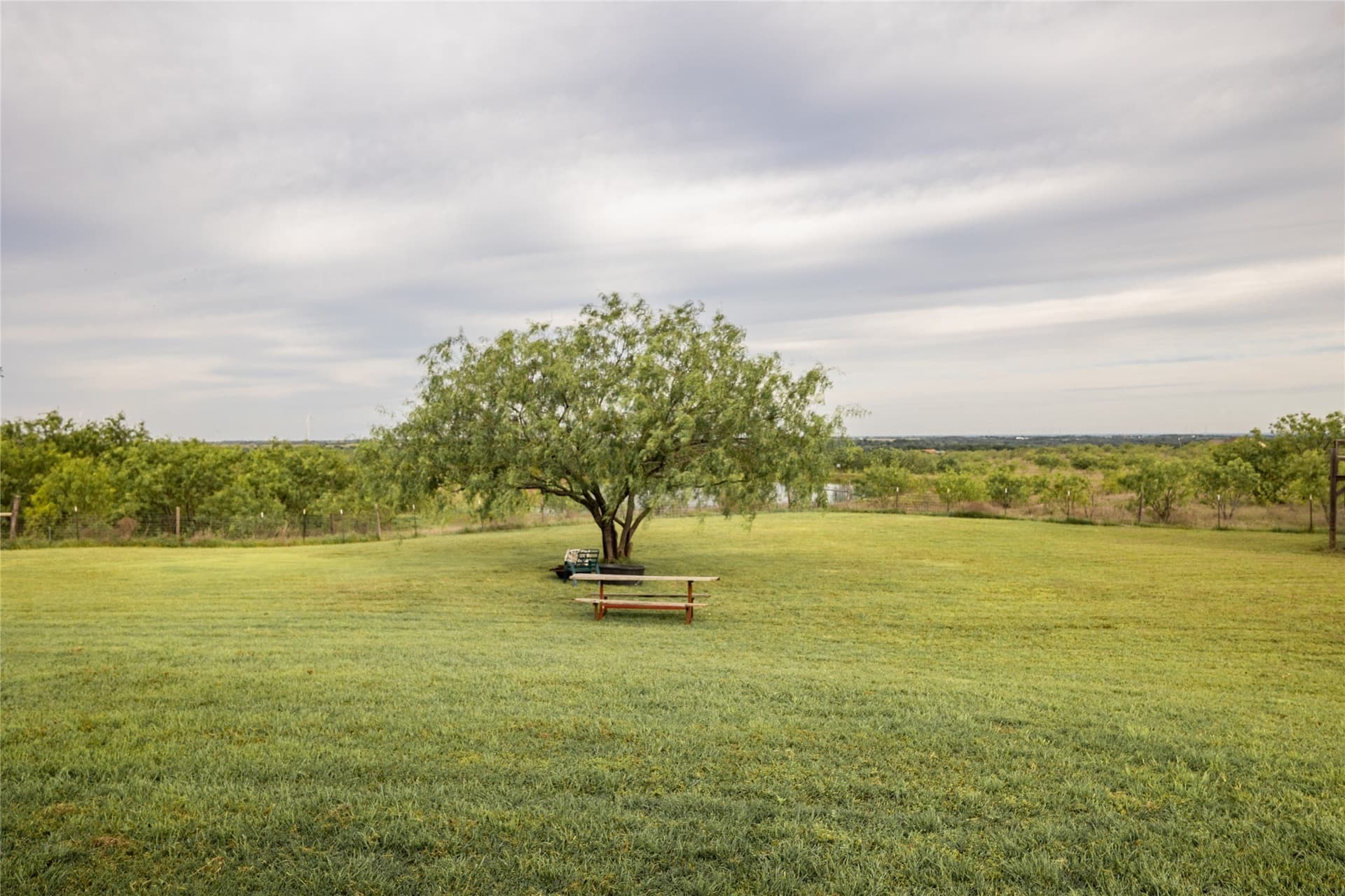 42 acres in Hill County - photo 7