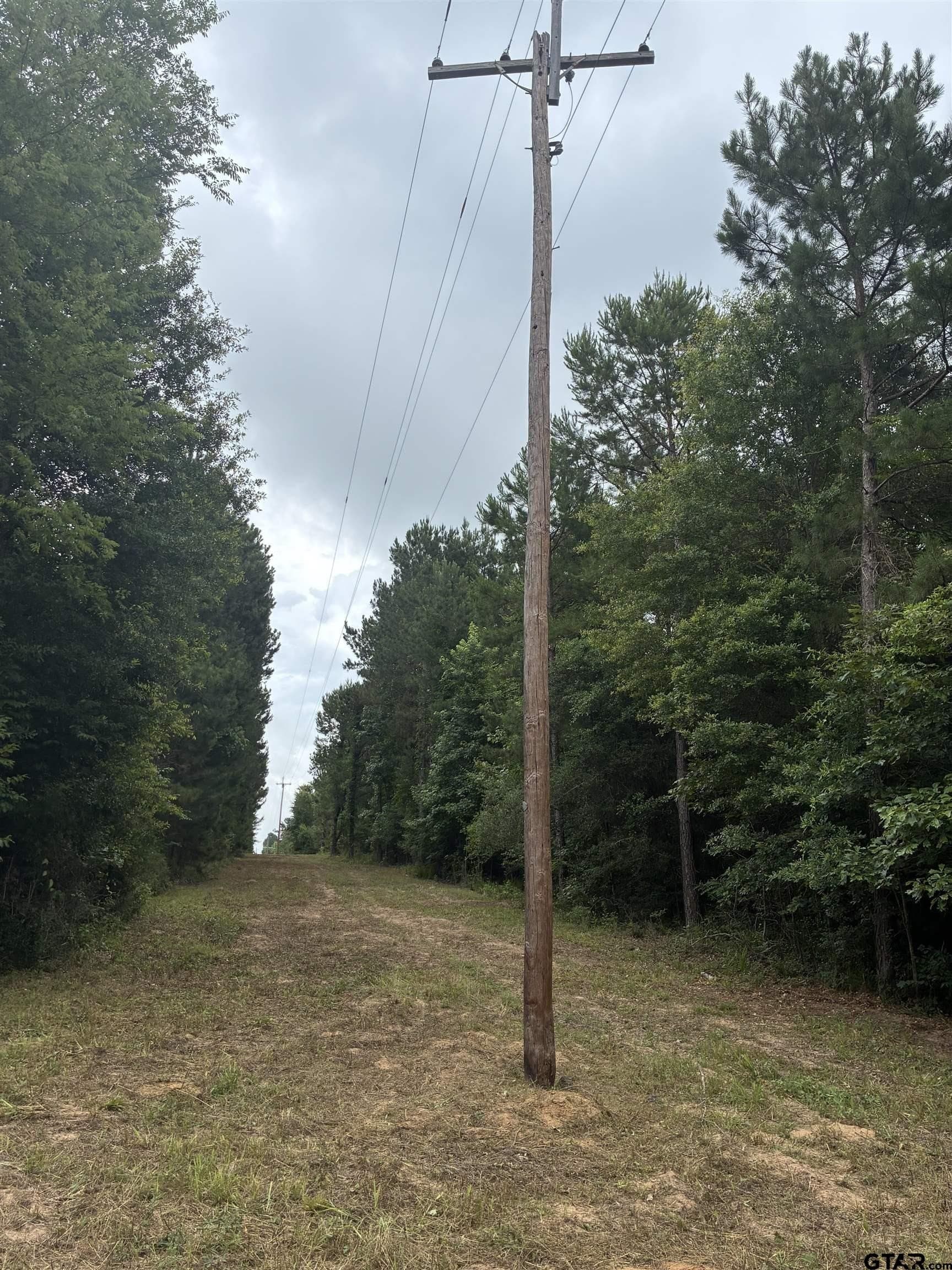 14 acres in Smith County gallery image 3