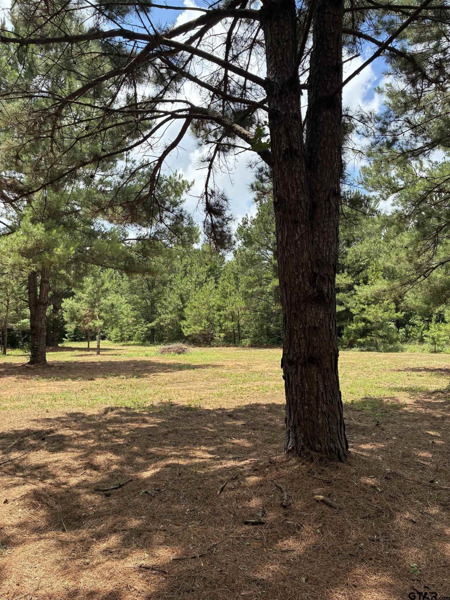 14 acres in Smith County gallery image 4