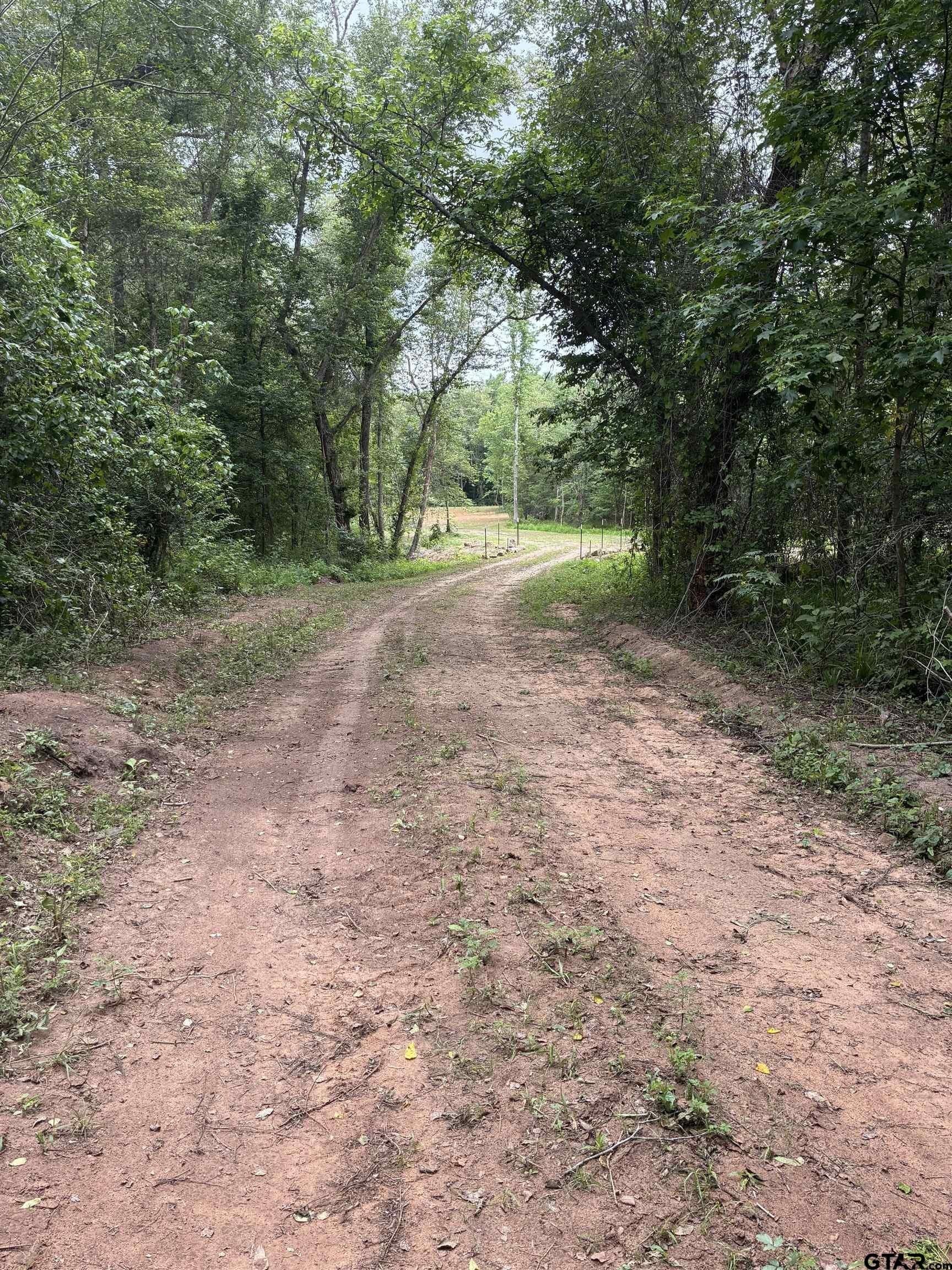 14 acres in Smith County gallery image 2
