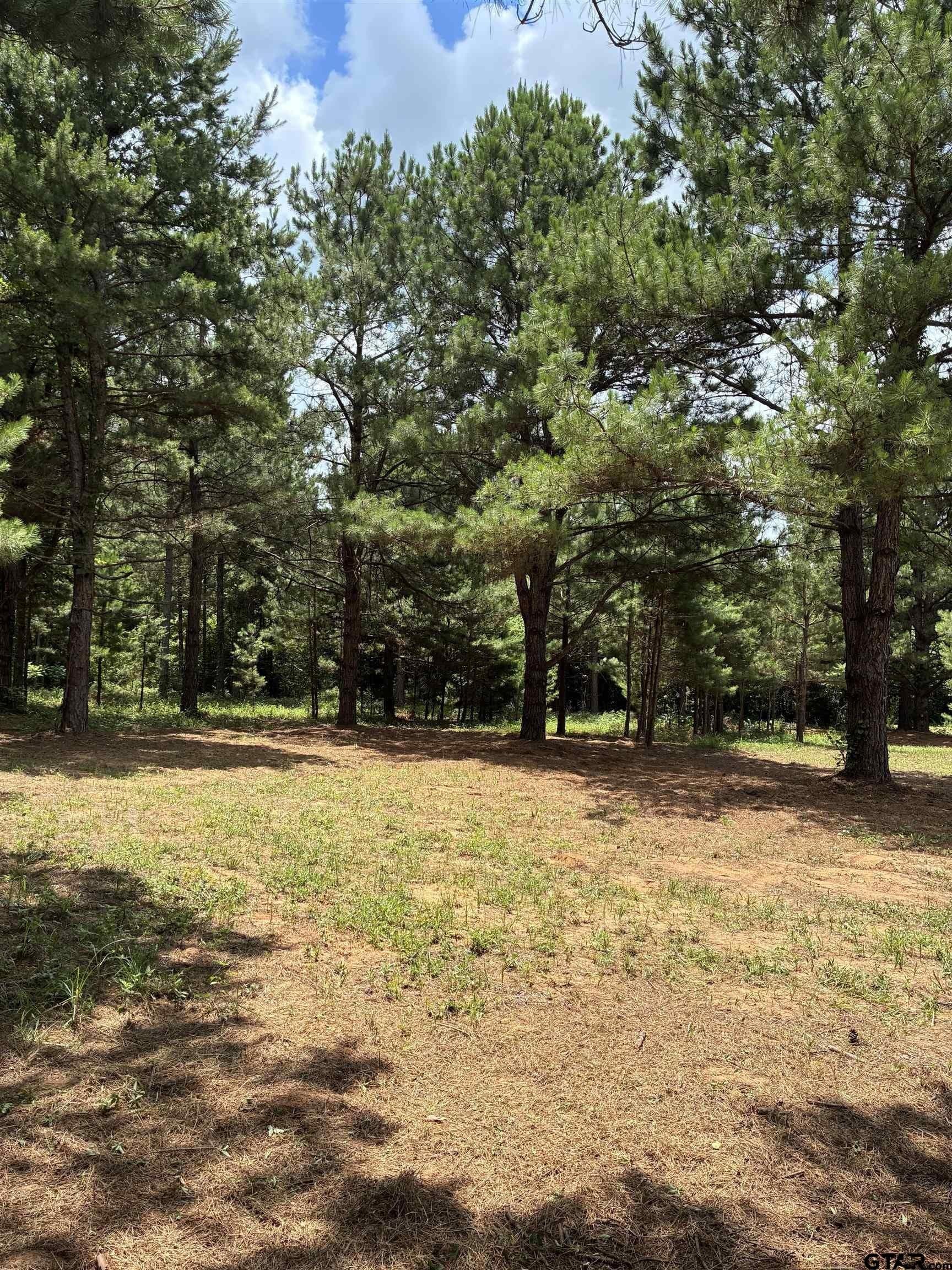 14 acres in Smith County featured view