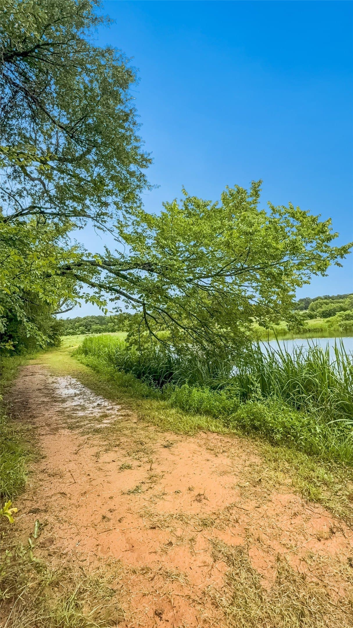 10.01 acres in Henderson County - photo 7