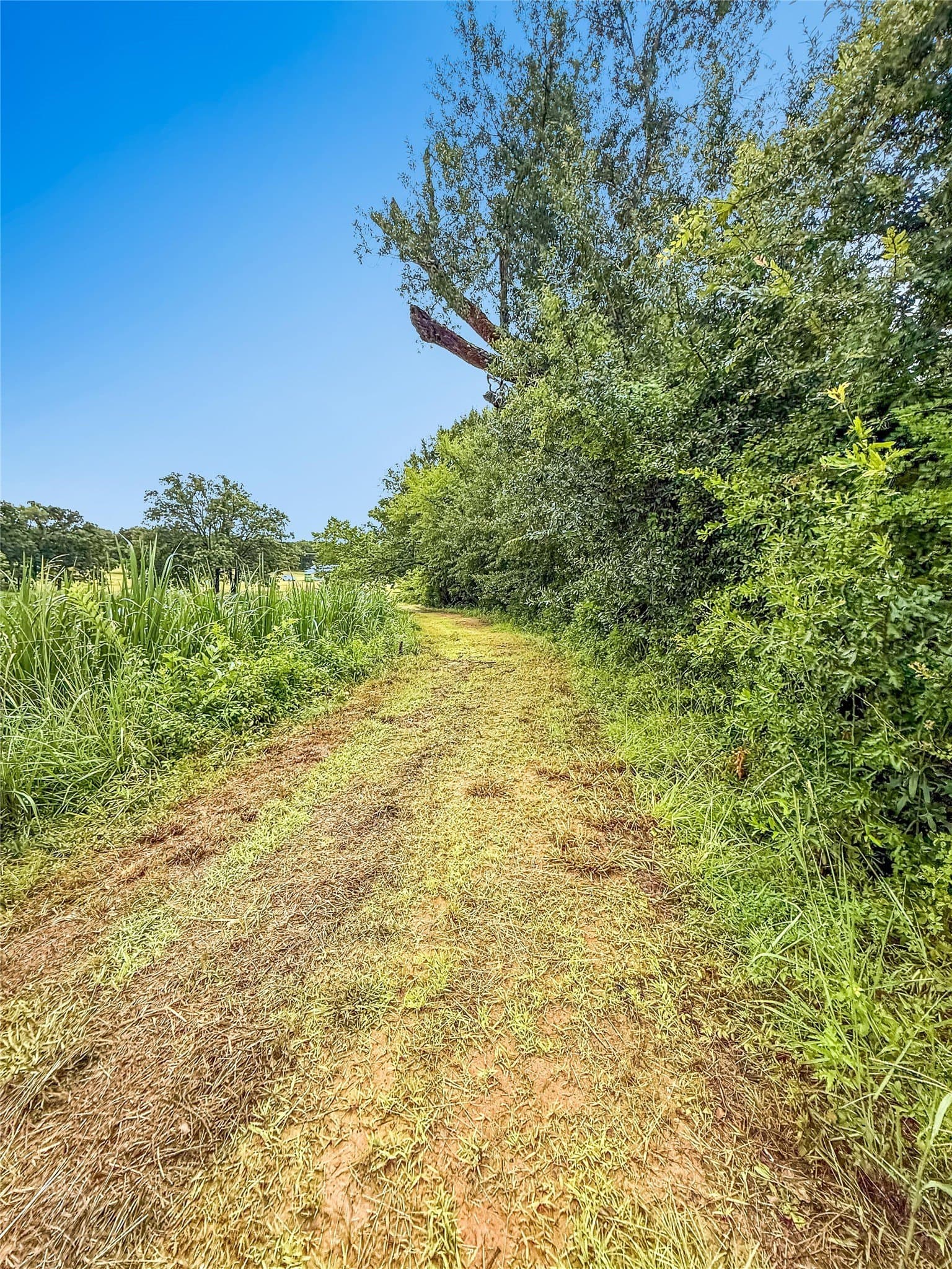 10.01 acres in Henderson County - photo 8