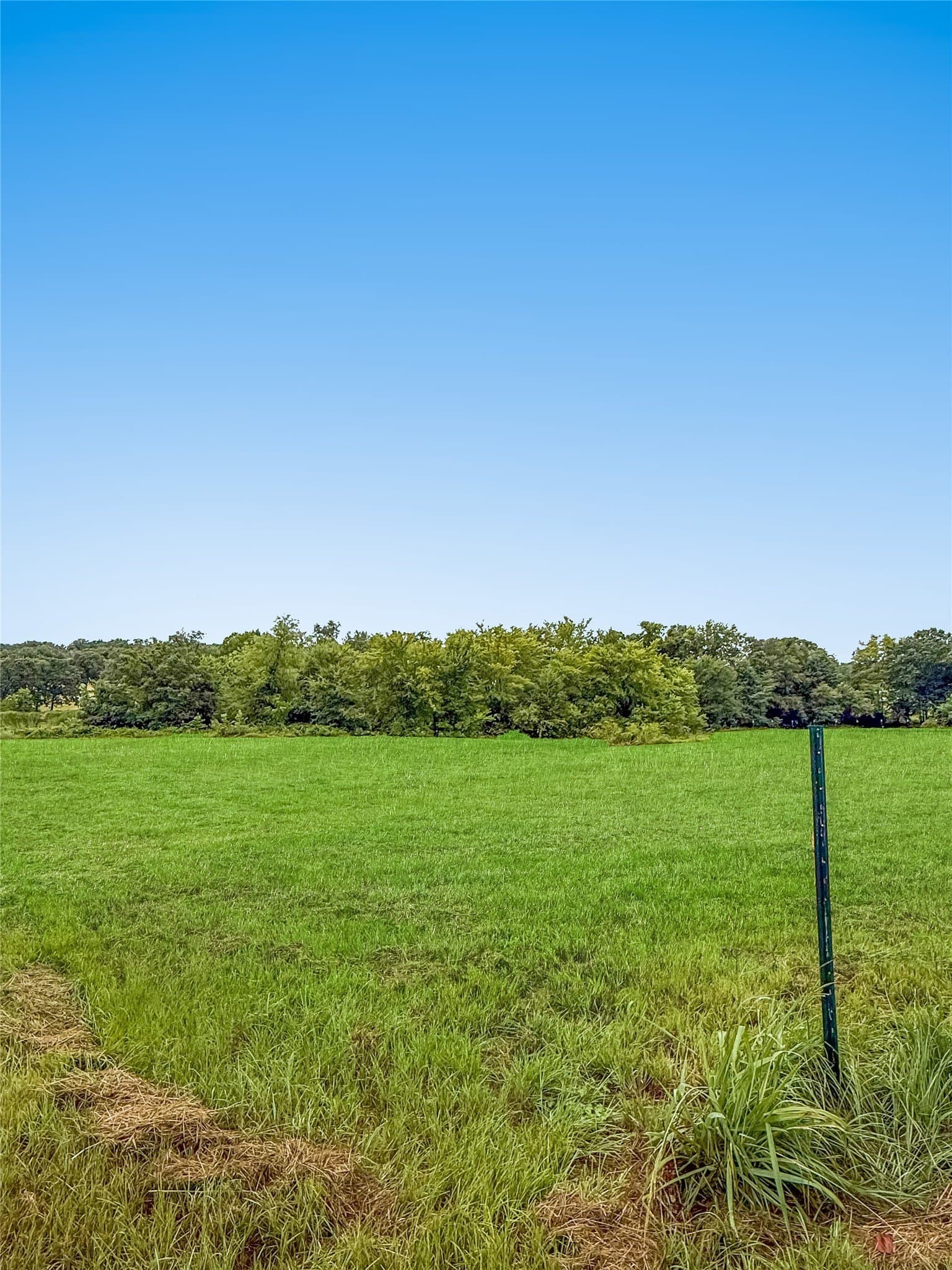 10.01 acres in Henderson County - photo 9