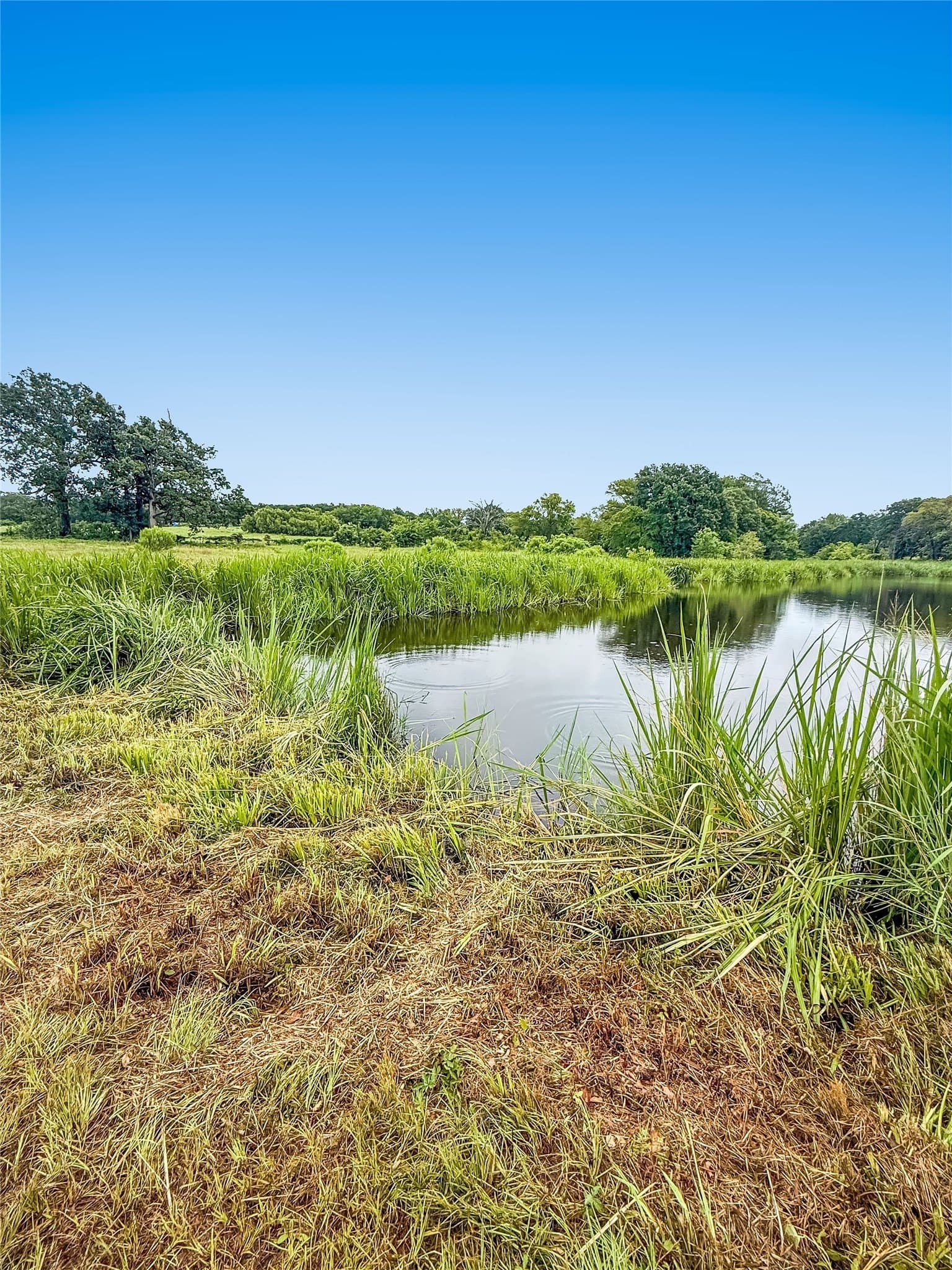 10.01 acres in Henderson County - photo 6