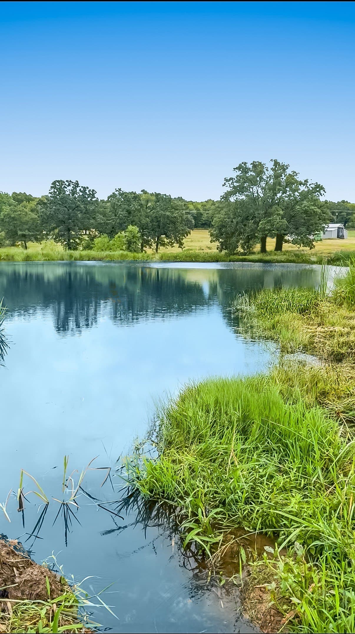 10.01 acres in Henderson County featured view