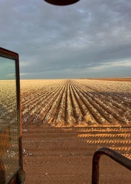 633.73 acres in Terry County - photo 7