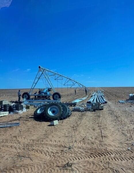 633.73 acres in Terry County - photo 9