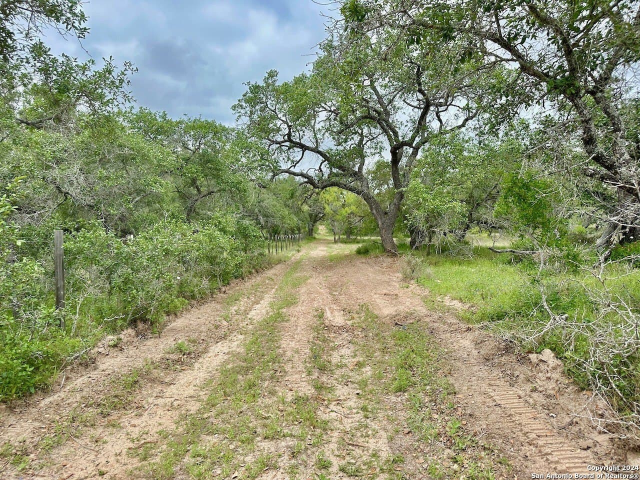 191.5 acres in Medina County gallery image 3