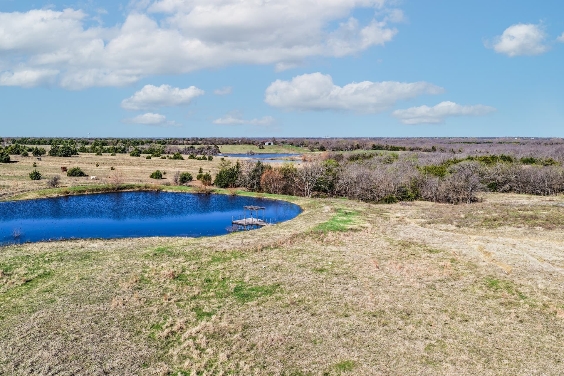 11.98 acres in Collin County - photo 6