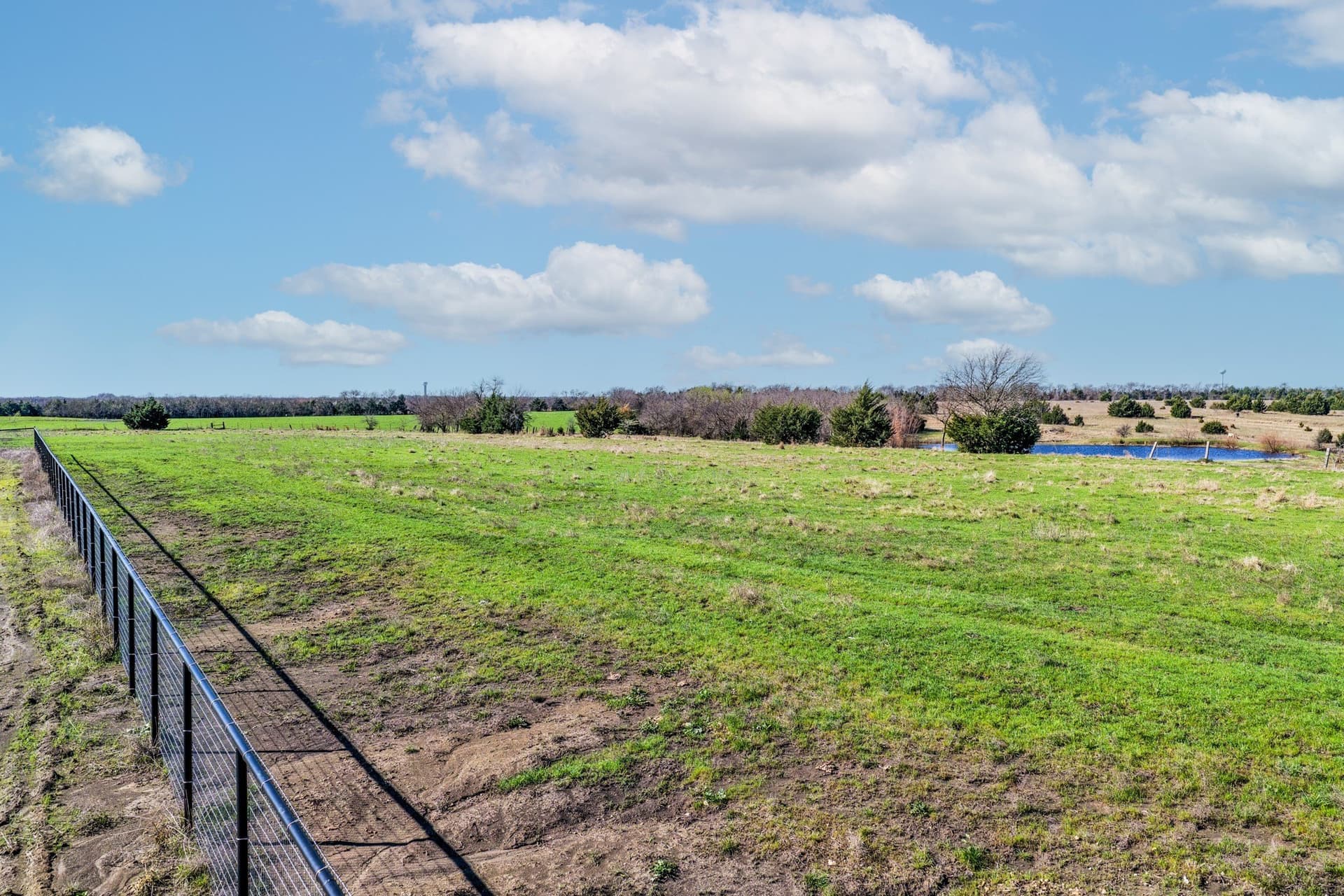 11.98 acres in Collin County - photo 7