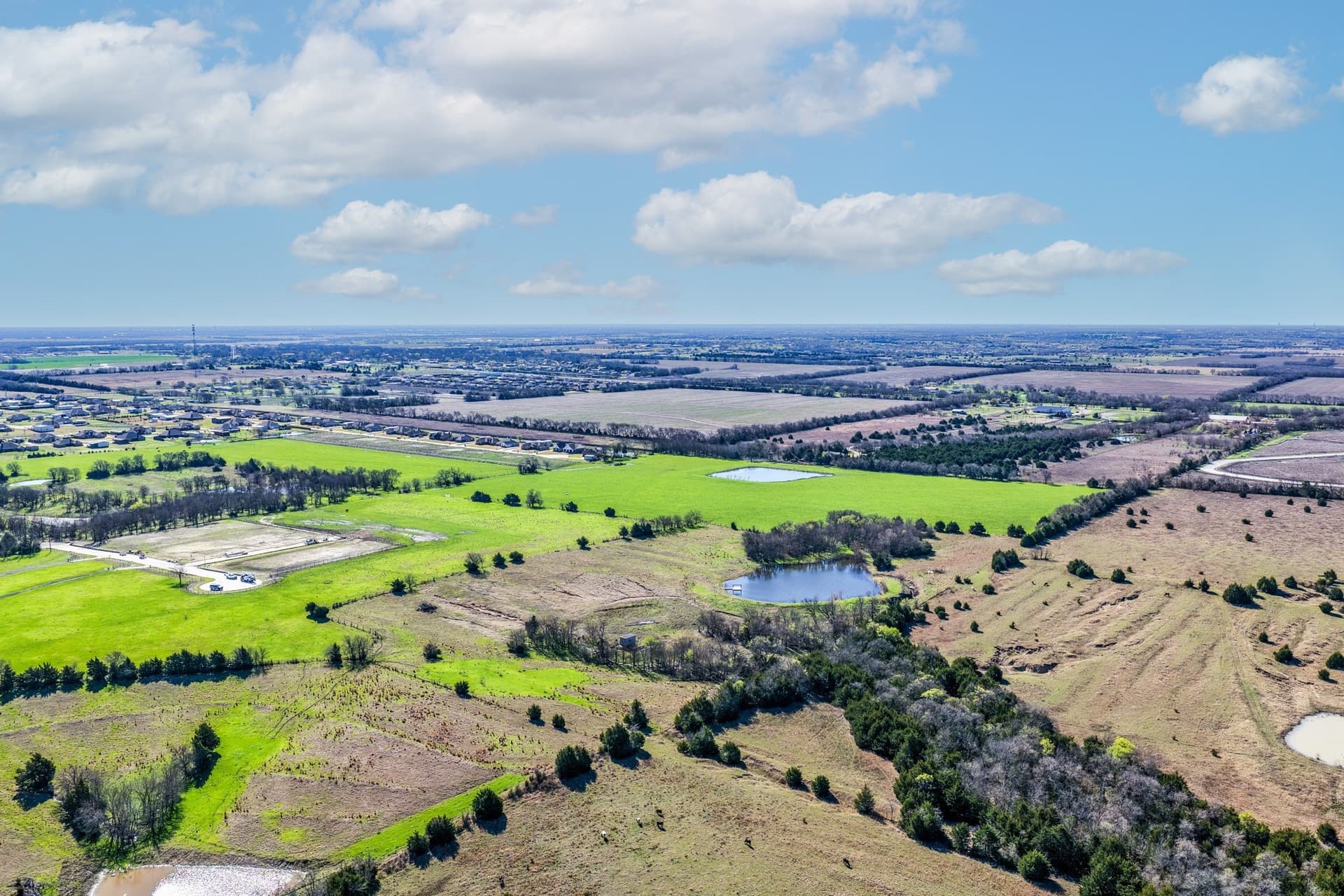 11.98 acres in Collin County - photo 16