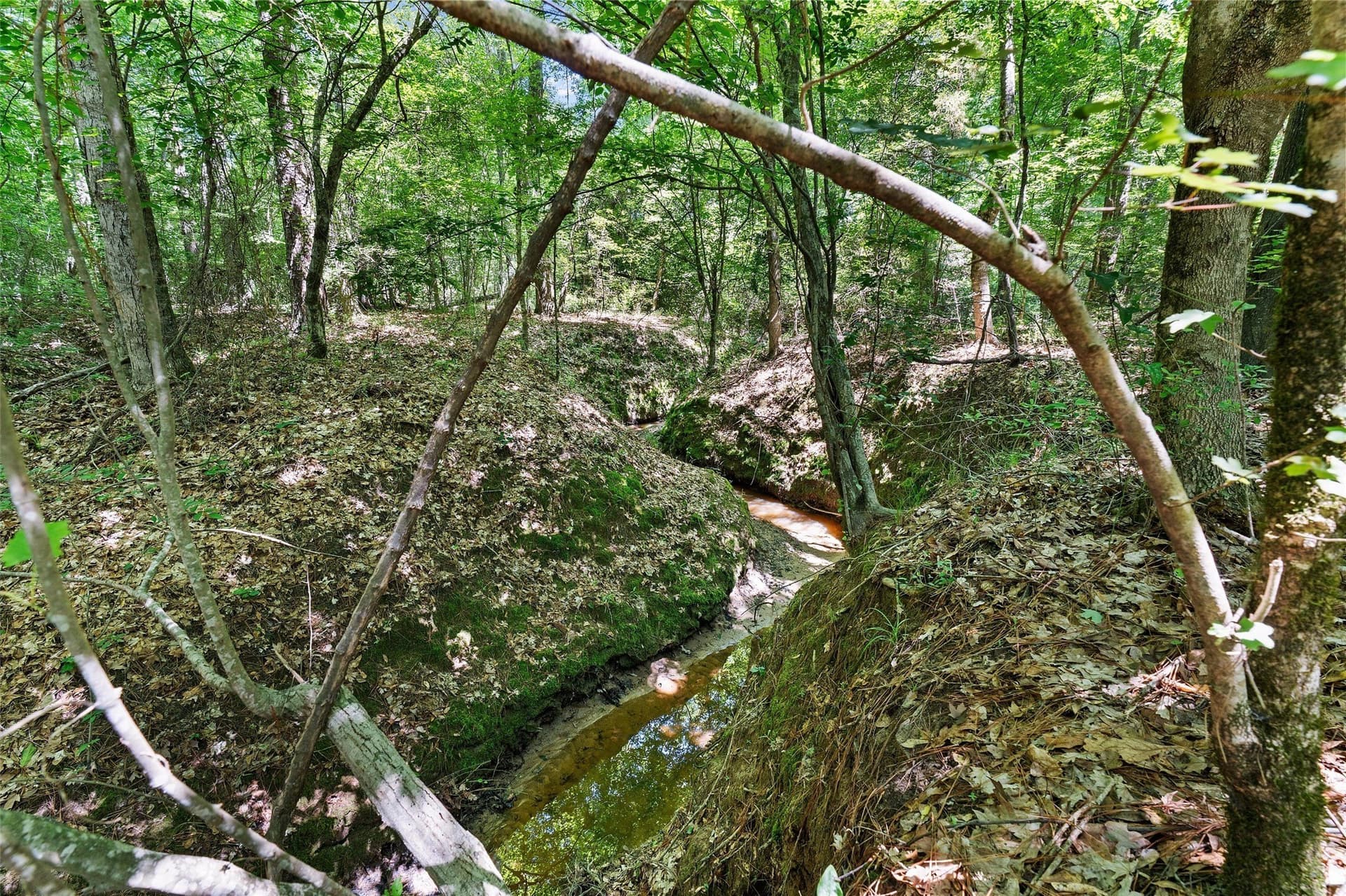 106 acres in Panola County - photo 14