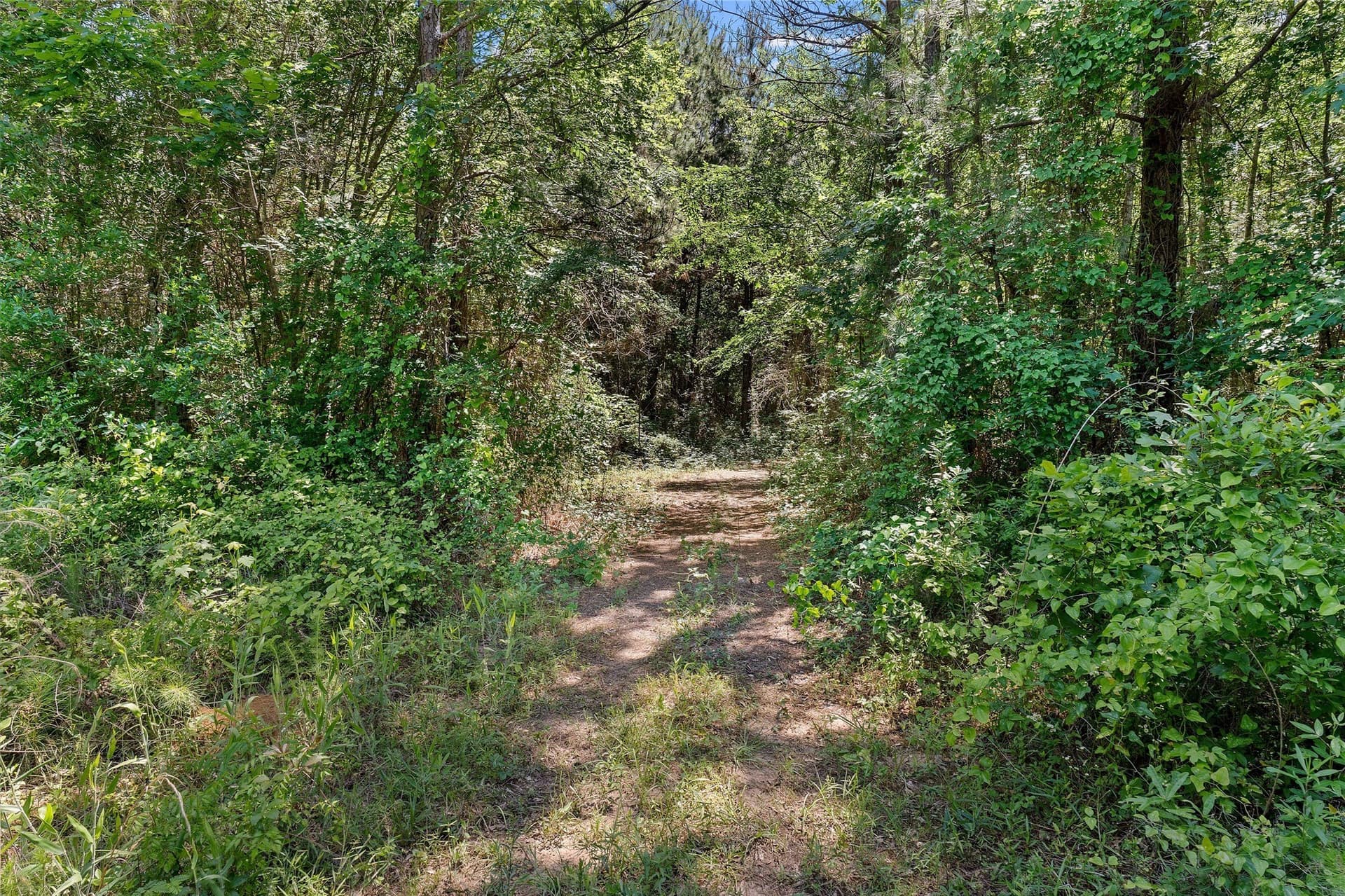 106 acres in Panola County - photo 20