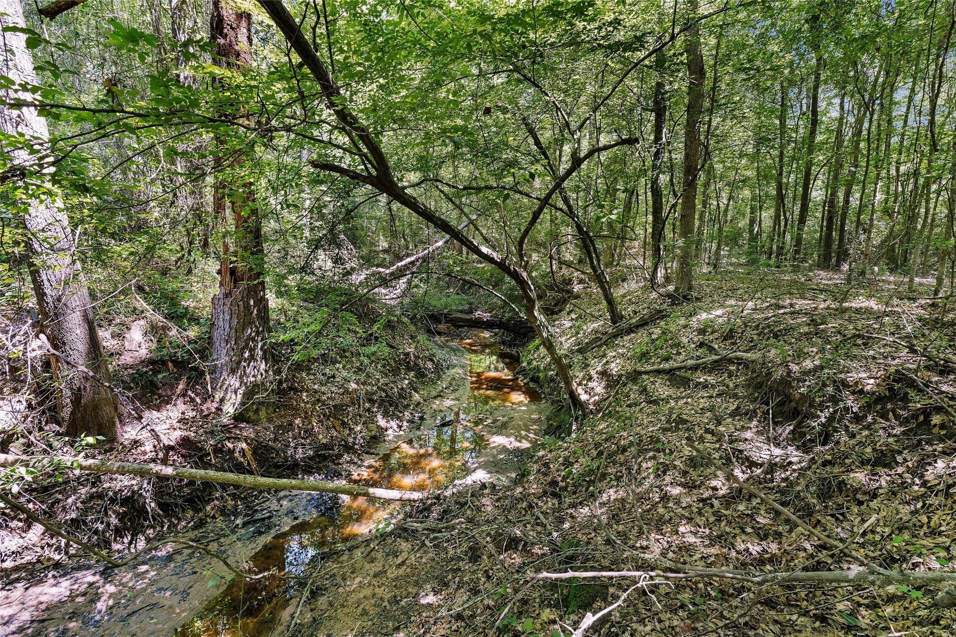 106 acres in Panola County - photo 18