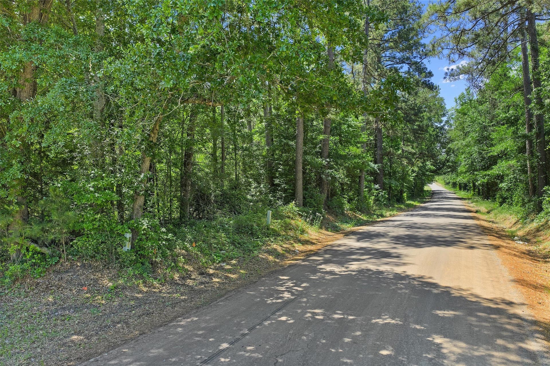 106 acres in Panola County - photo 27