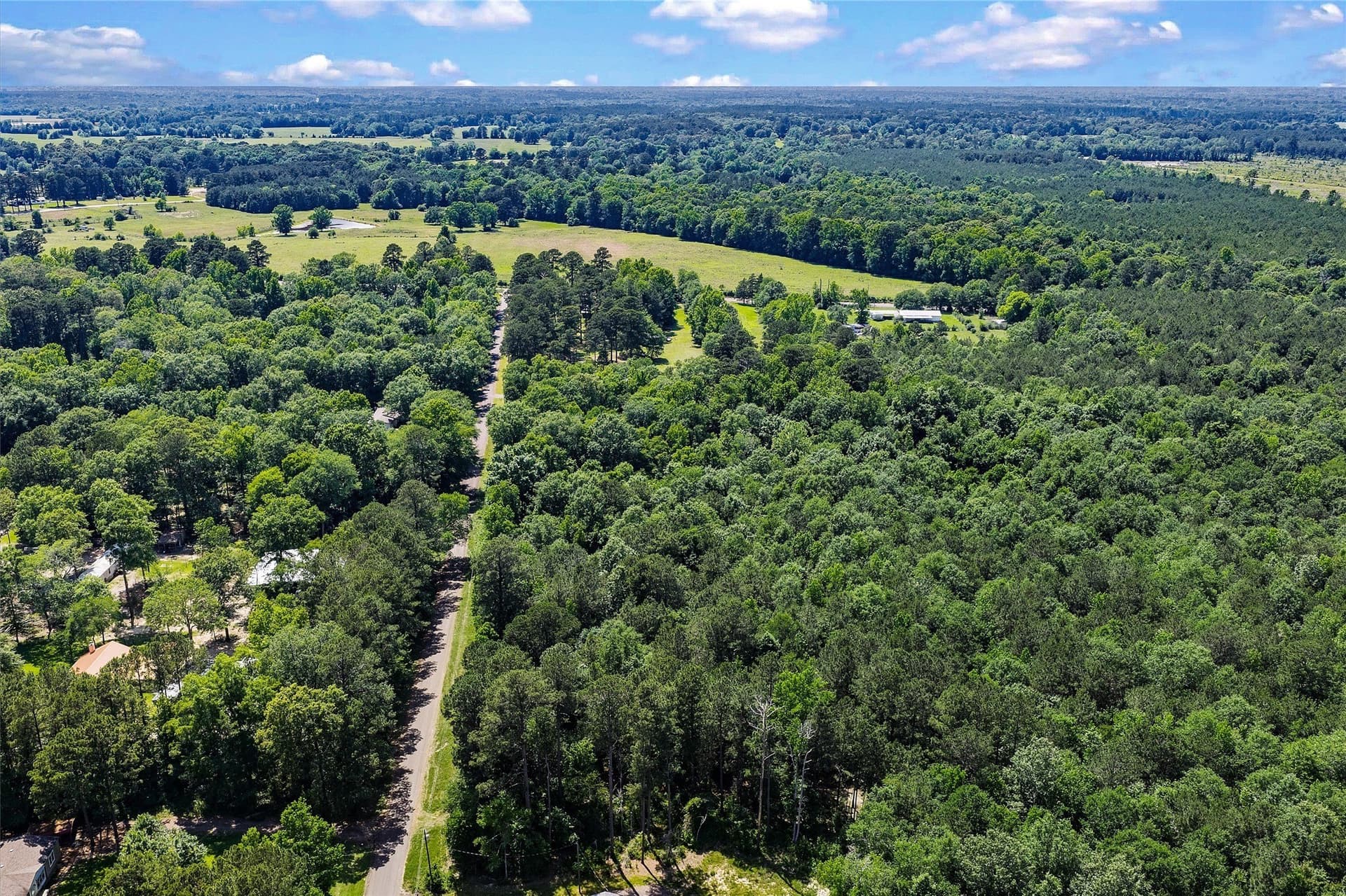 106 acres in Panola County - photo 29