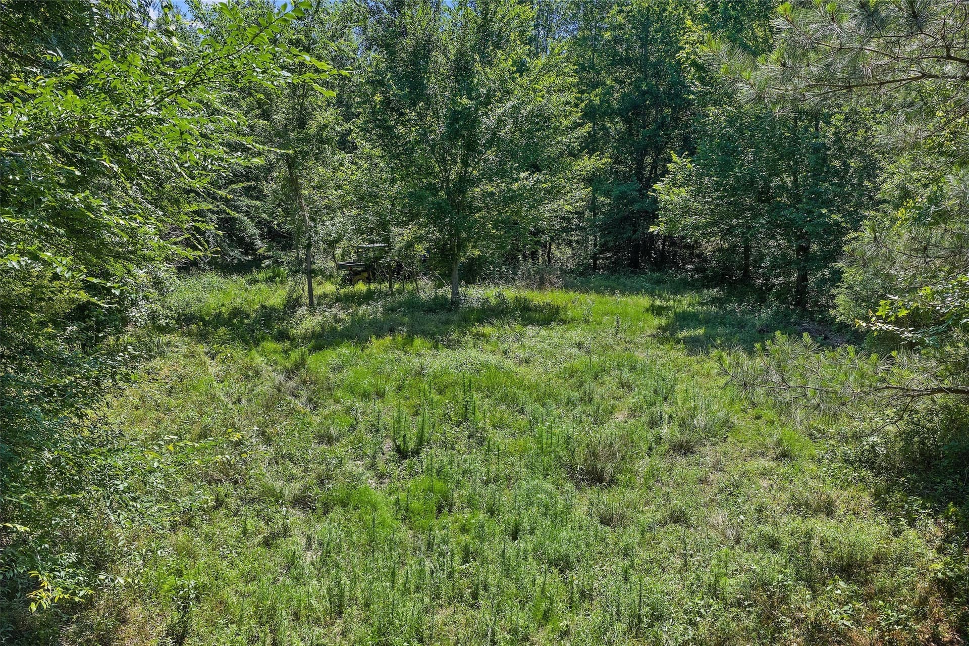 106 acres in Panola County - photo 15