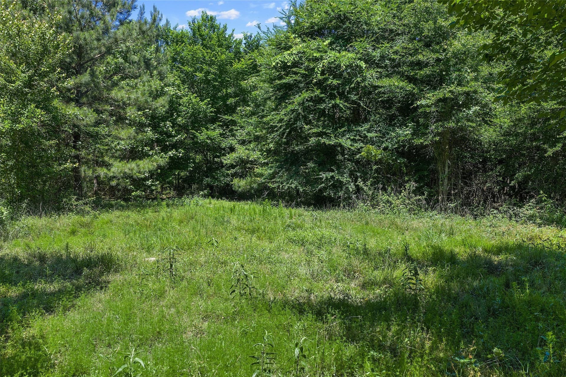 106 acres in Panola County - photo 16