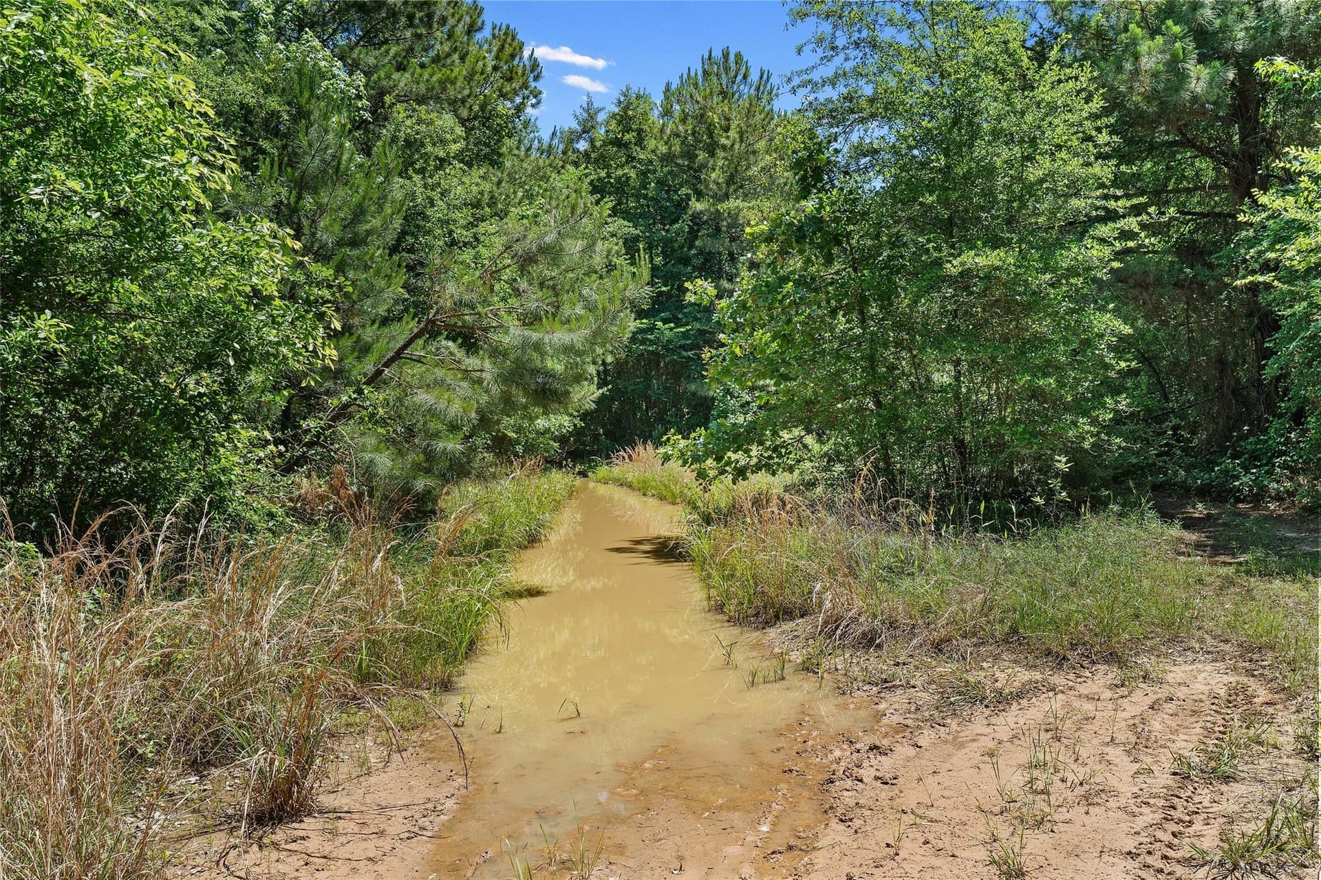 106 acres in Panola County - photo 21