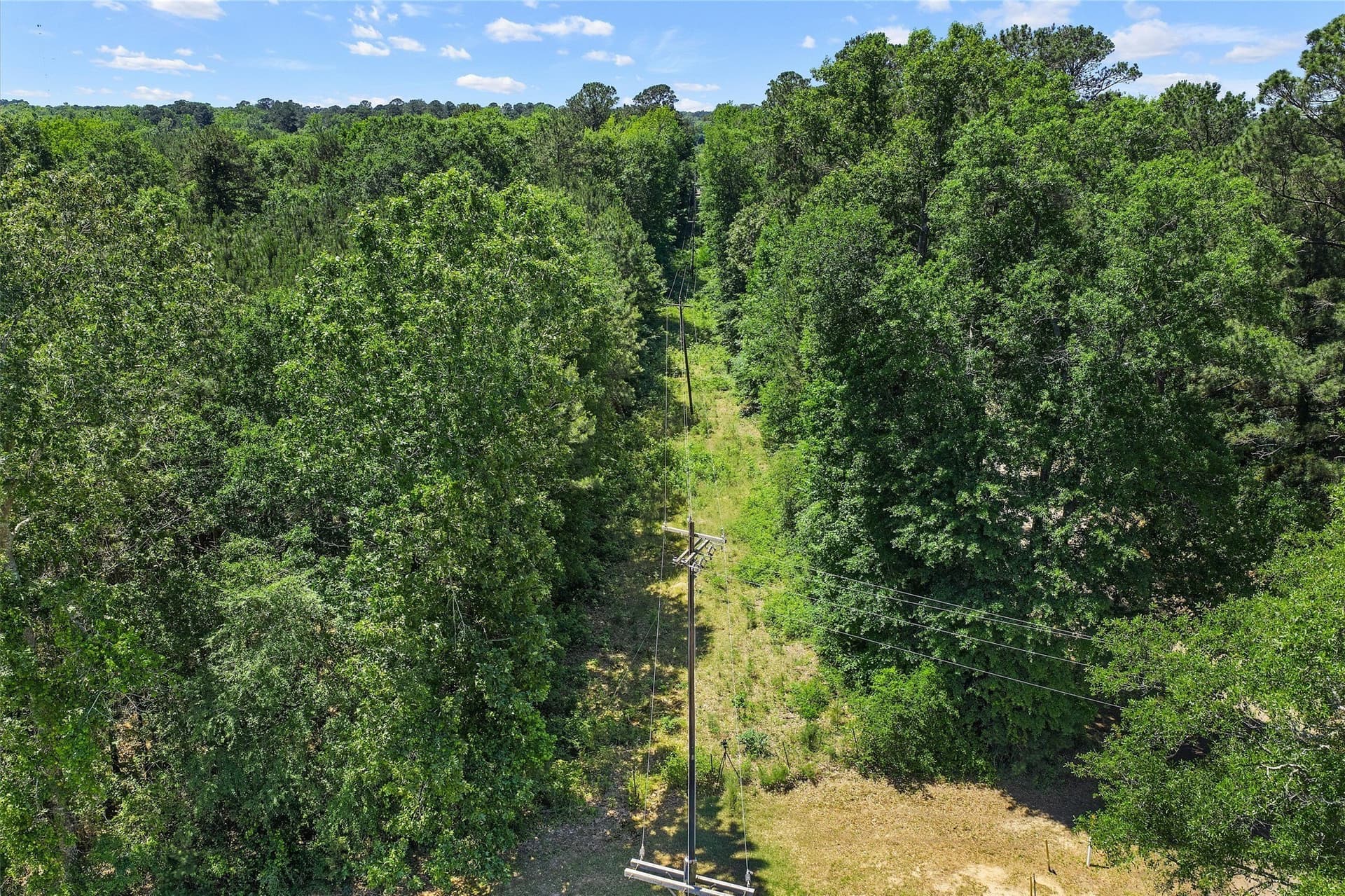 106 acres in Panola County - photo 25