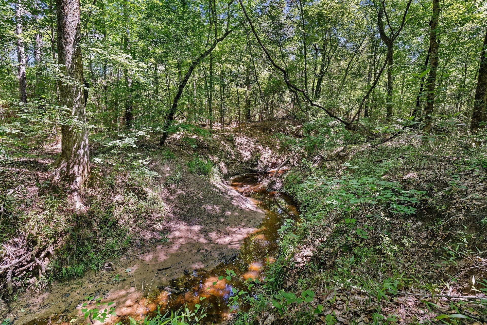 106 acres in Panola County - photo 19