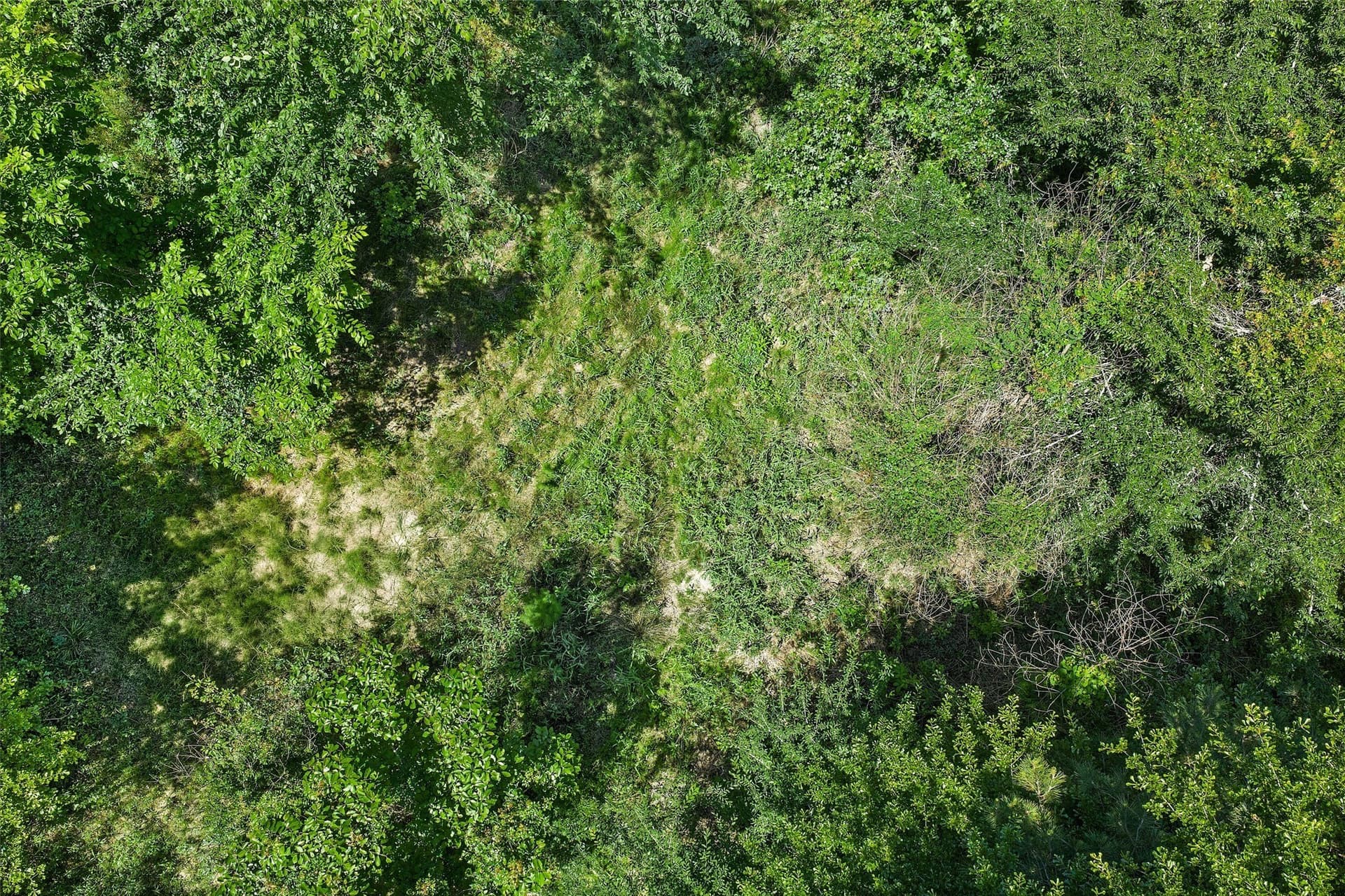 106 acres in Panola County - photo 13