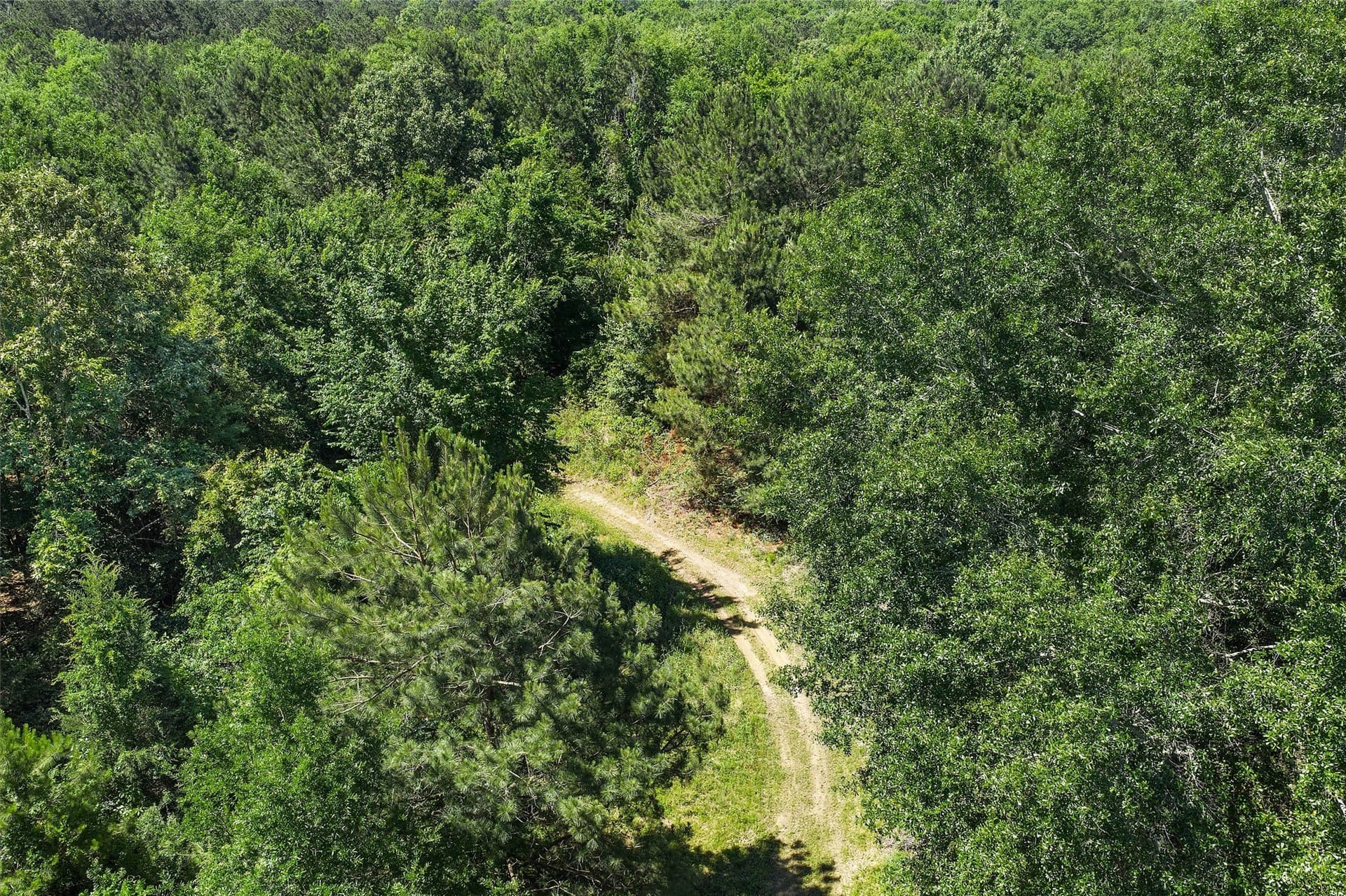 106 acres in Panola County - photo 7