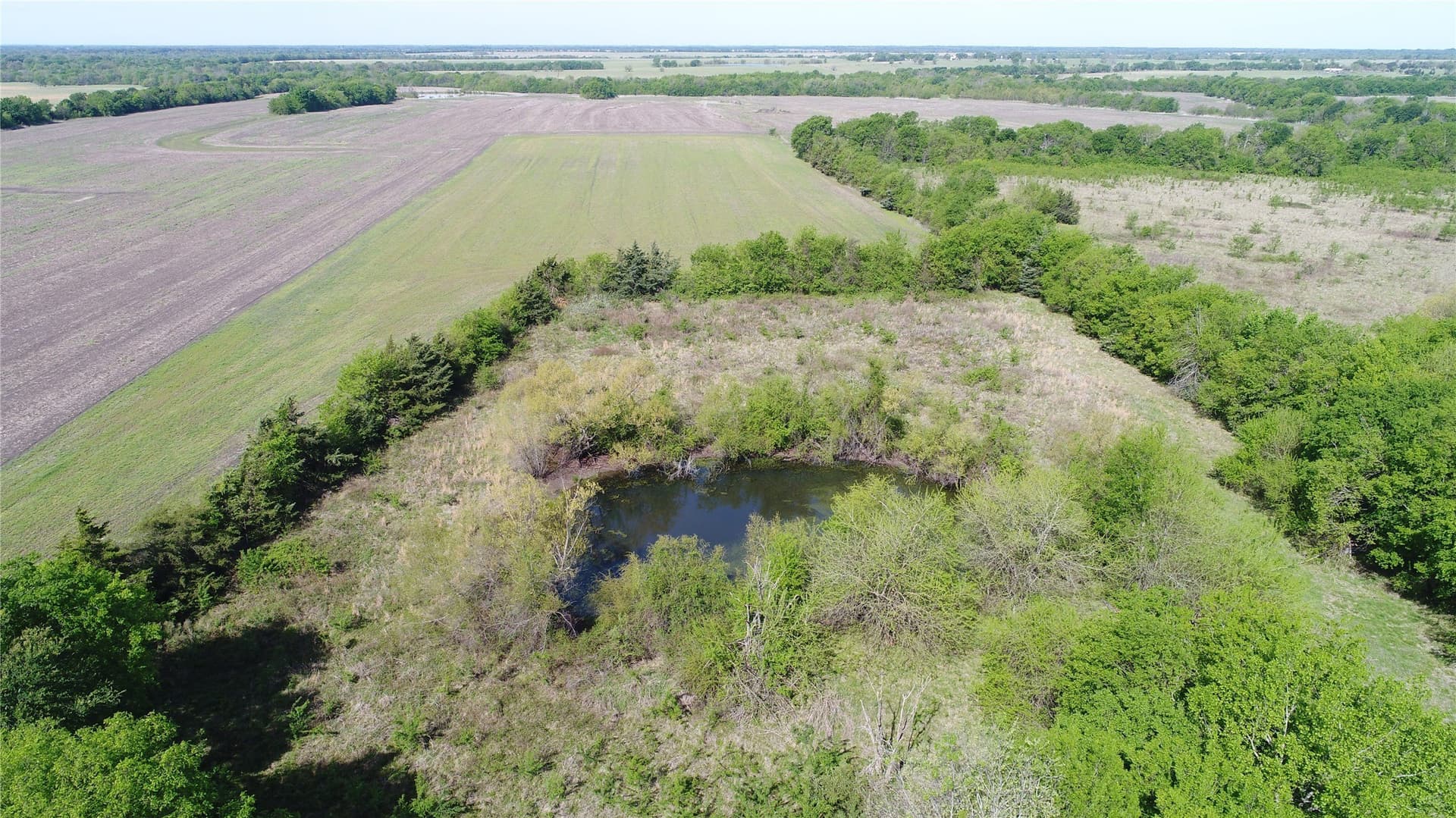 18.74 acres in Red River (TX) County gallery image 3