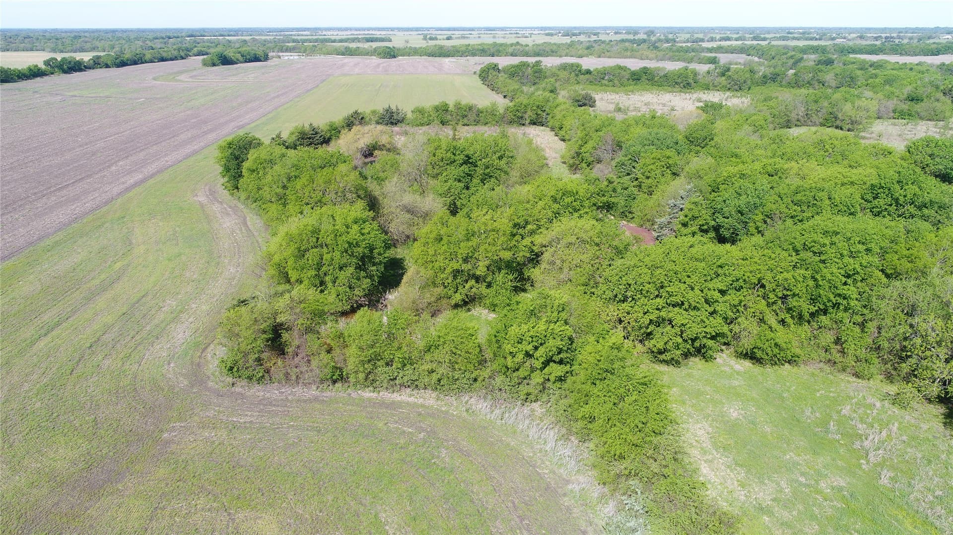 18.74 acres in Red River (TX) County gallery image 2
