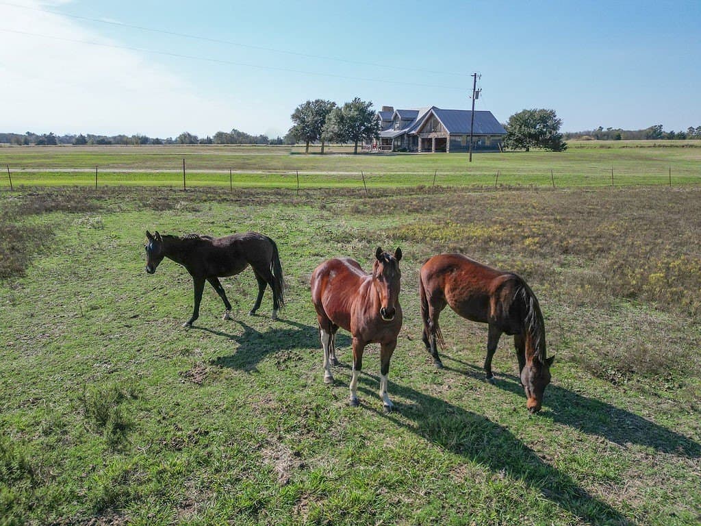 12.26 acres in Rains County - photo 34