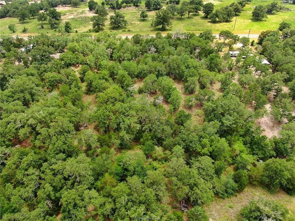 0.76 acres in Burleson County - photo 7