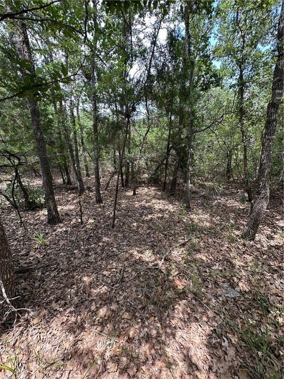 0.76 acres in Burleson County - photo 14
