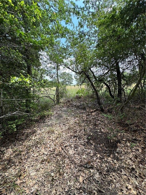 0.76 acres in Burleson County - photo 16