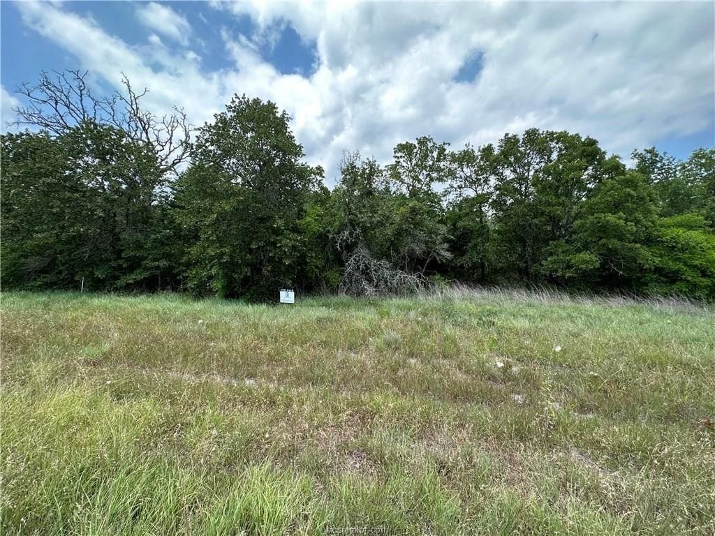0.76 acres in Burleson County - photo 12
