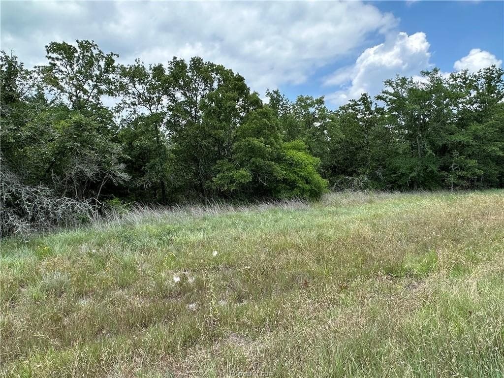 0.76 acres in Burleson County - photo 13