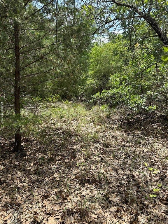 0.76 acres in Burleson County - photo 15