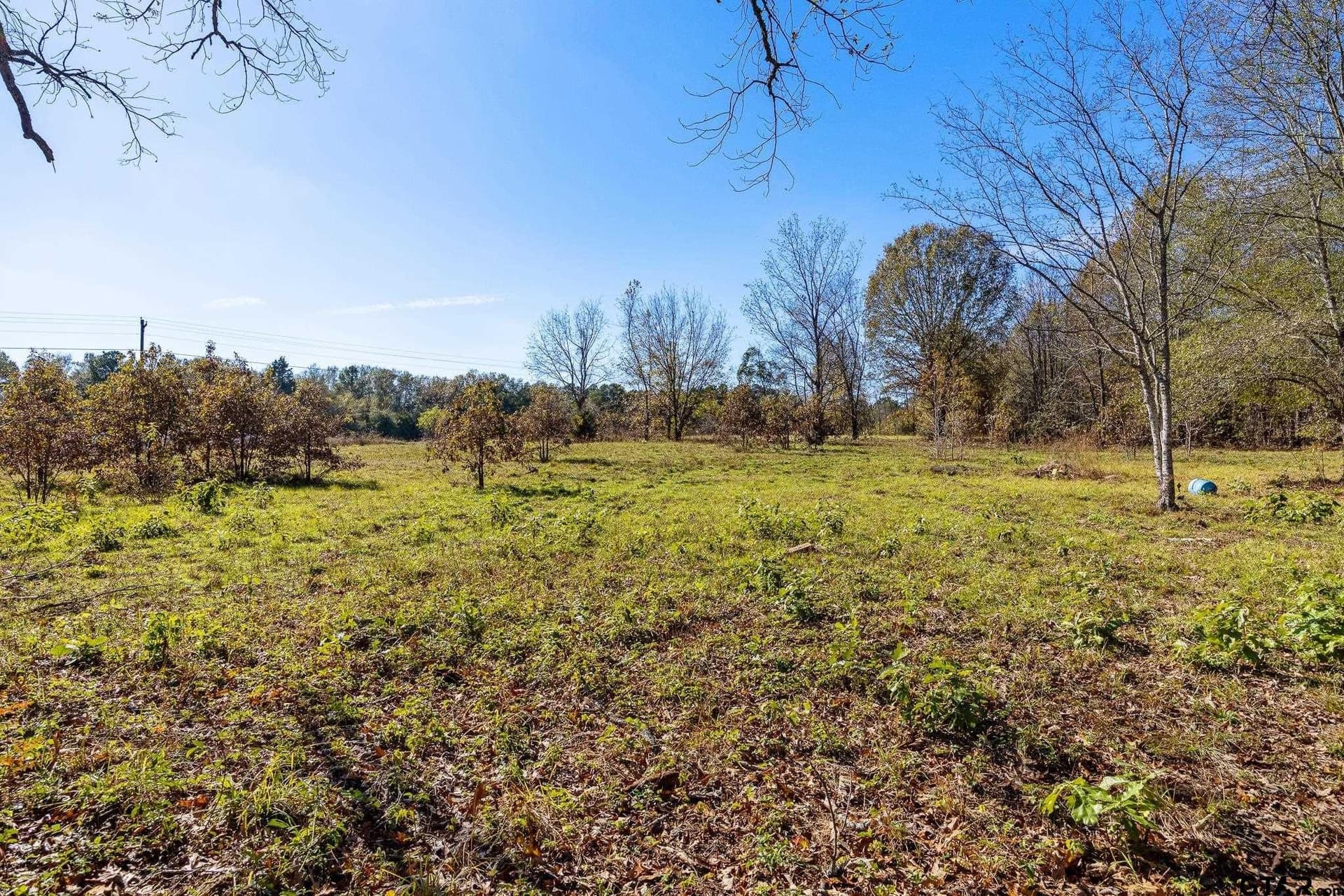 68.36 acres in Smith County - photo 7