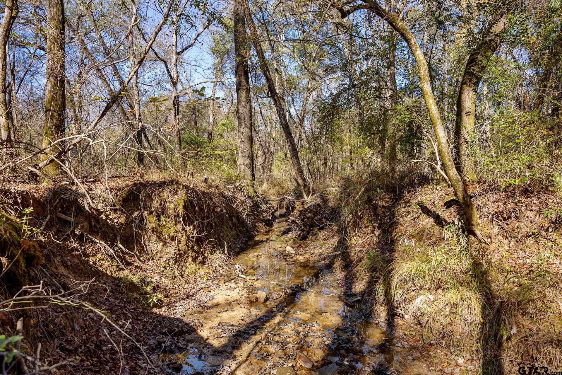 68.36 acres in Smith County - photo 11