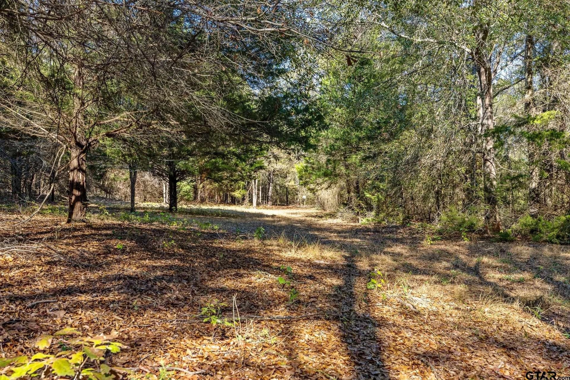 68.36 acres in Smith County - photo 8