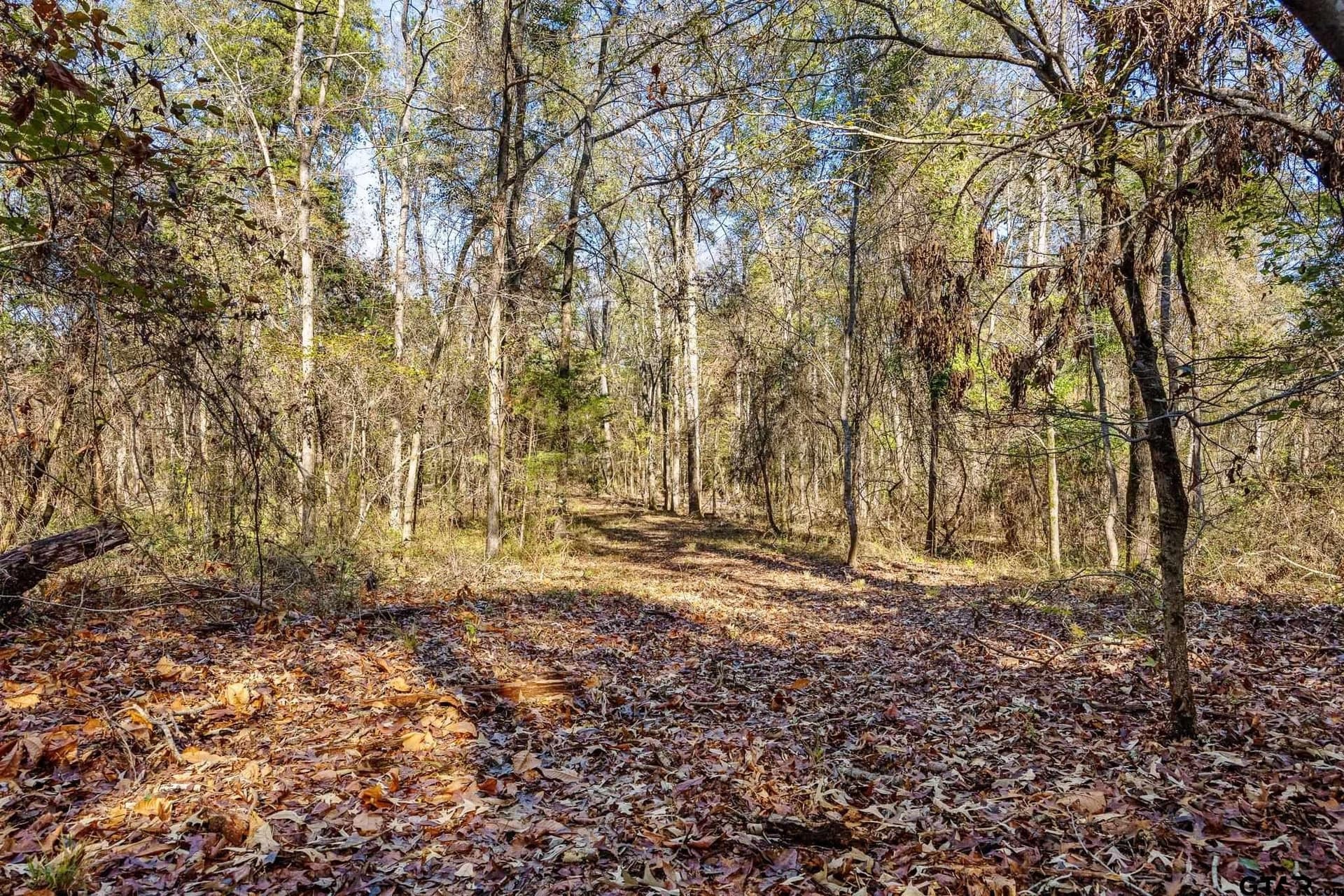 68.36 acres in Smith County - photo 10