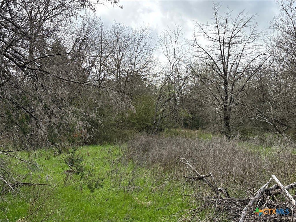 14.25 acres in Limestone County - photo 8